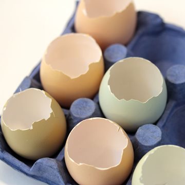 Tyhjennä munat