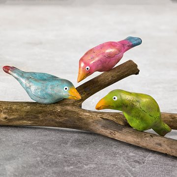 Värikkäät linnut